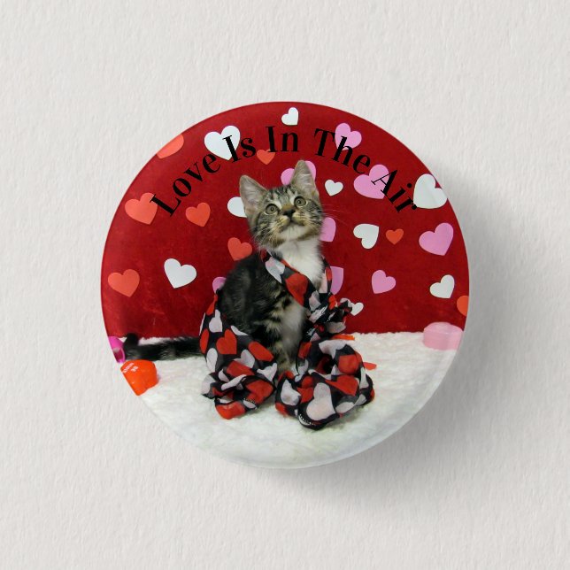Bandit's Valentine's Day Button - Cute cat Pic (Front)