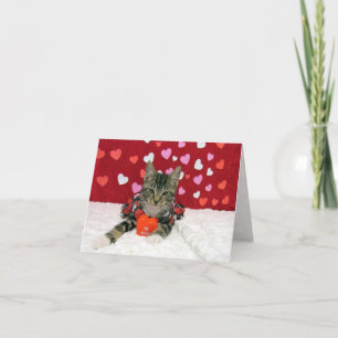 Bandit's Valentine's Heart - Cat / Kitten Card