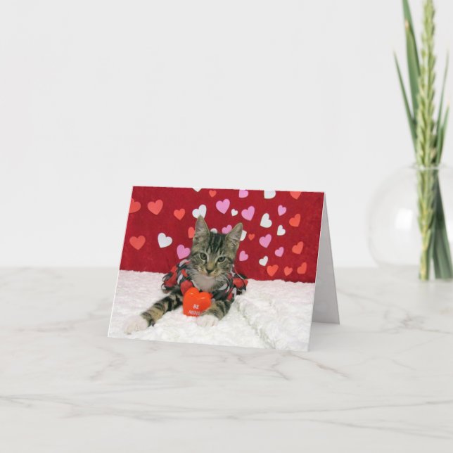 Bandit's Valentine's Heart - Cat / Kitten Card (Front)