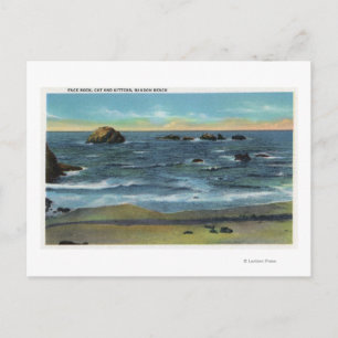 Bandon Beach View of Face Rock, Cat and Kittens Postcard