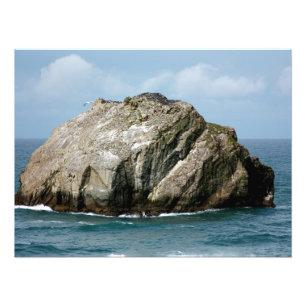 Bandon Oregon's famous Face Rock Photo Print