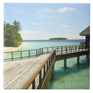 Bandos Island Resort, North Male Atoll, The 2 Tile