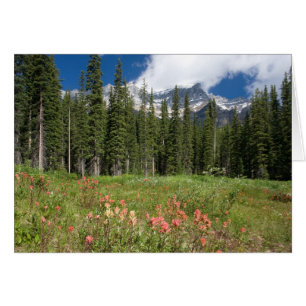Banff Flowers Canada