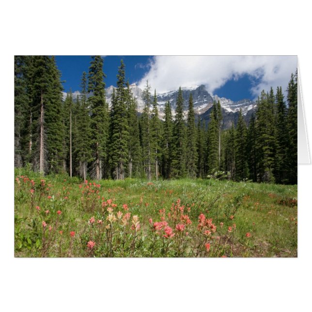 Banff Flowers Canada (Front Horizontal)