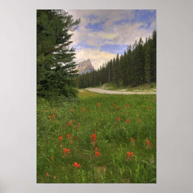 Banff National Park Poster (Front)