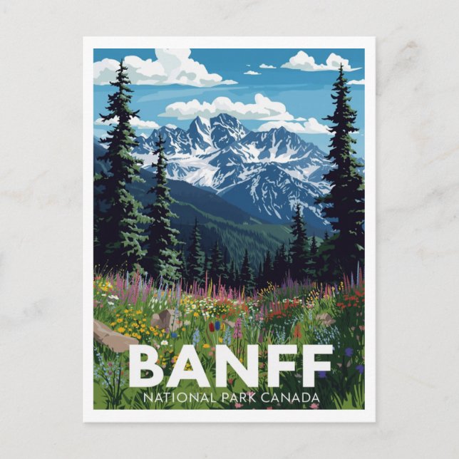 Banff National Park Wildflower Mountains Postcard (Front)