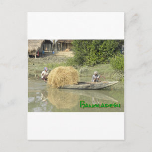 Bangladesch-Reisboot Postcard