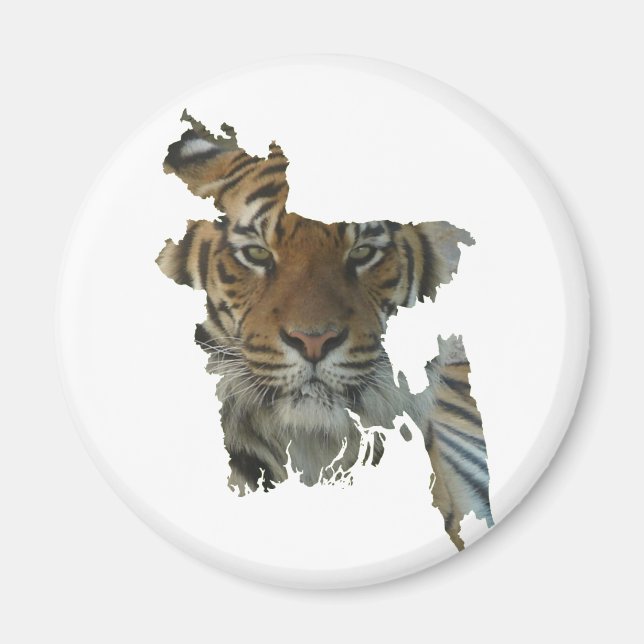 Bangladesch-Tiger Magnet (Front)