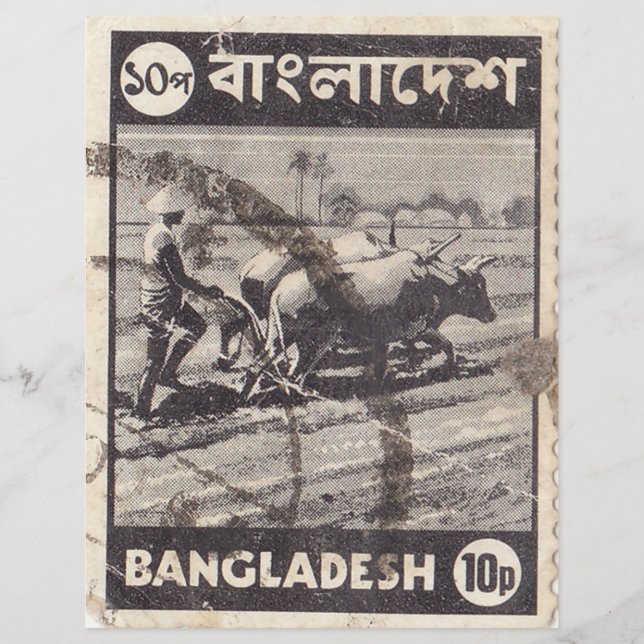 Bangladesh postage stamp  with a man and bulls (Front)