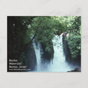 Banias Waterfall Postcard