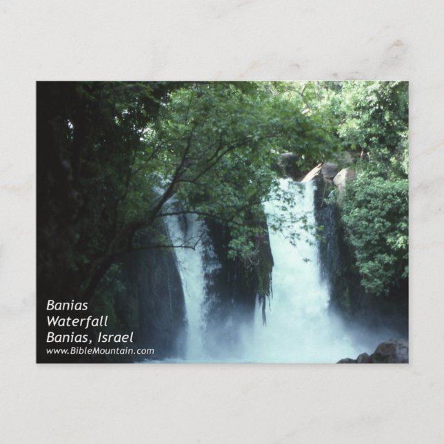 Banias Waterfall Postcard (Front)