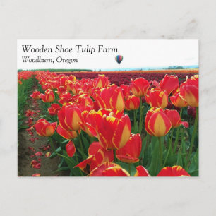 Banja Luka Tulips in a Field with Hot Air Balloon Postcard