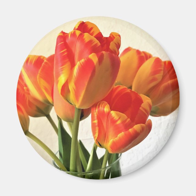 Banja Luka Tulips Magnet (Front)