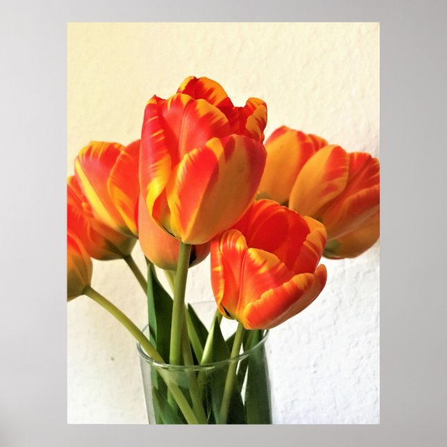 Banja Luka Tulips Poster (Front)