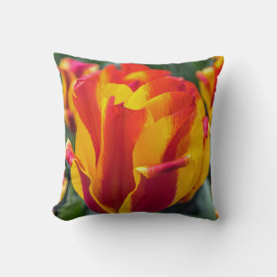 Banja Luka tulips throw cushion