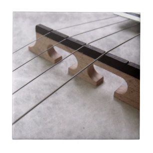 Banjo Closeup Photo Tile