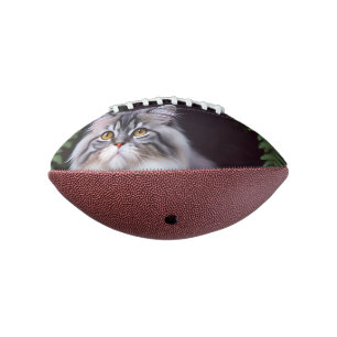 Banjo The Fluffy Grey And White Persian, Football