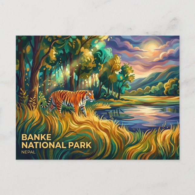 Banke National Park Nepal Postcard (Front)