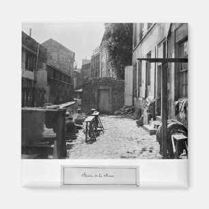 Banks of the Bievre, Paris, 1858-78 Magnet