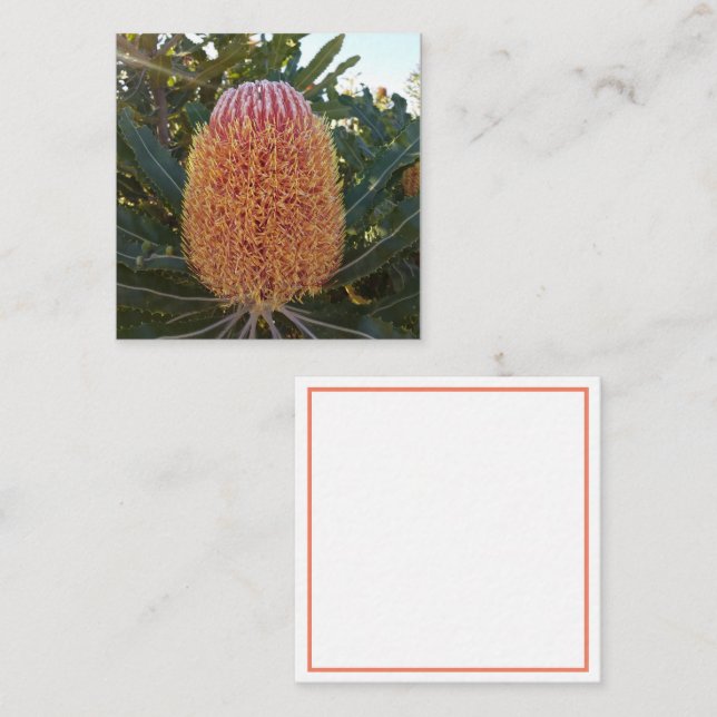 Banksia flower Enclosure Card (Front/Back)