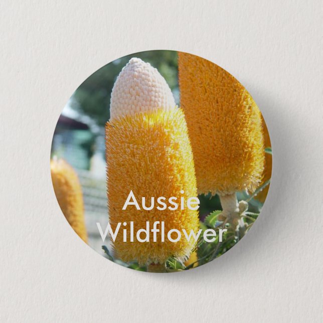 Banksia "Golden Candlesticks" 6 Cm Round Badge (Front)