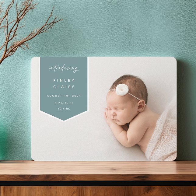 Banner Overlay | Horizontal Photo Birth Announcement (Creator Uploaded)