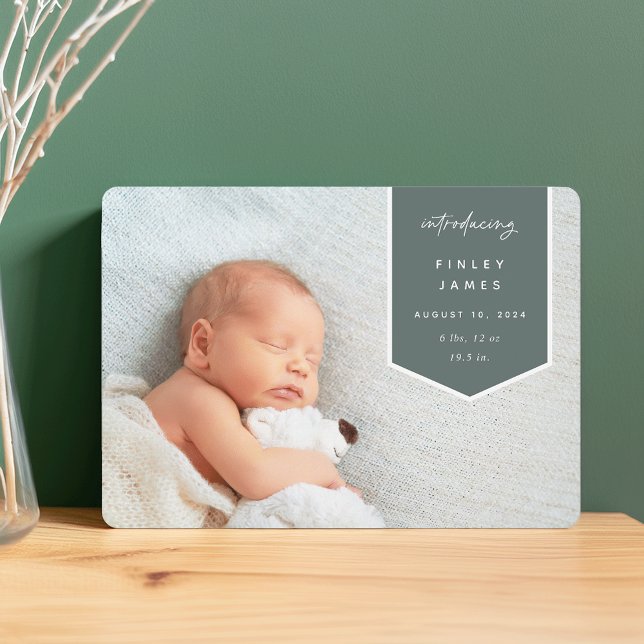 Banner Overlay | Horizontal Photo Birth Announcement (Creator Uploaded)