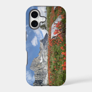 Banner Peak Wildflowers - Ansel Adams Wilderness