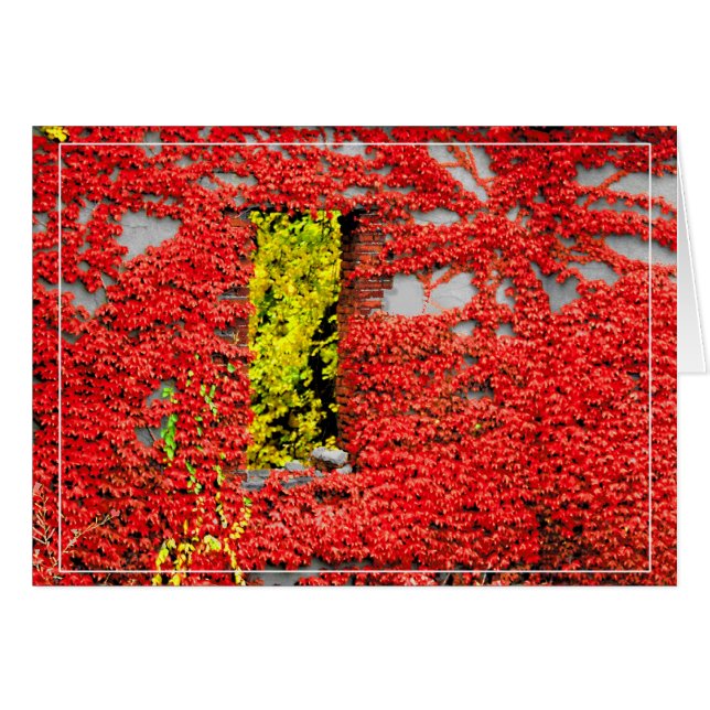 Bannerman's Window (Front Horizontal)