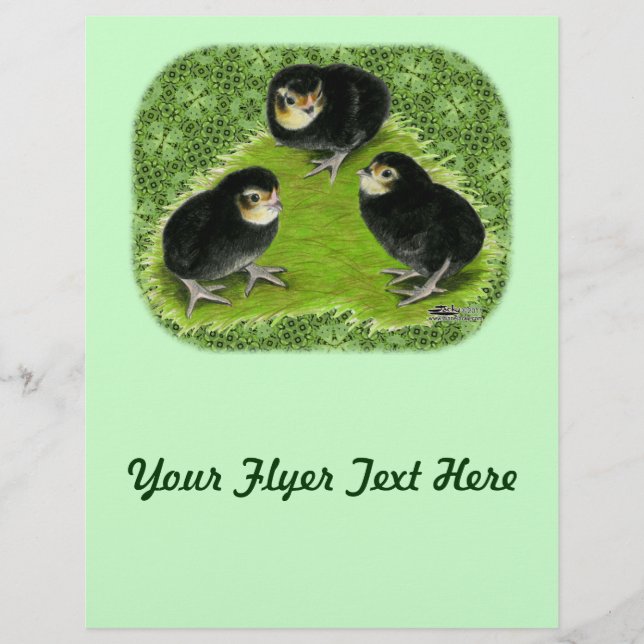 Bantam Chicks in the Garden Flyer (Front)