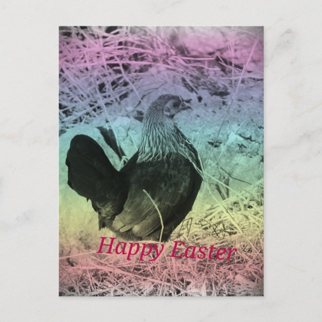 Bantam Hen Easter Holiday Postcard (Front)