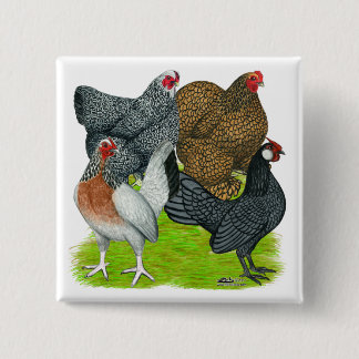 Bantam Hen Quartet 15 Cm Square Badge