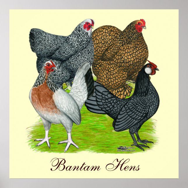 Bantam Hen Quartet, Bantam Hens Poster (Front)