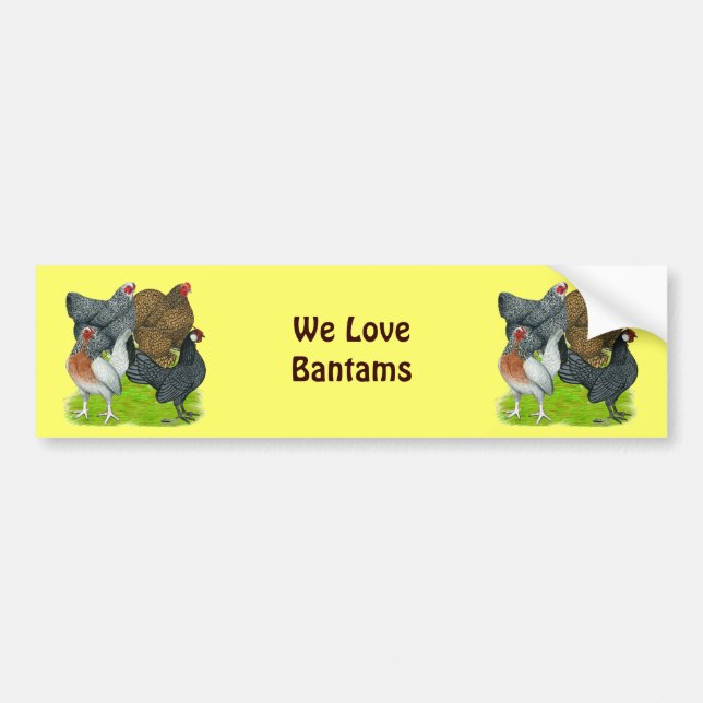 Bantam Hen Quartet Bumper Sticker (Front)