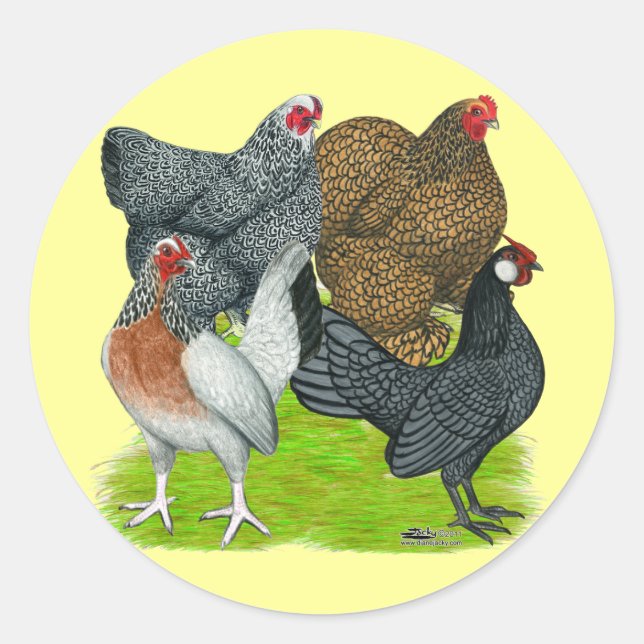 Bantam Hen Quartet Classic Round Sticker (Front)