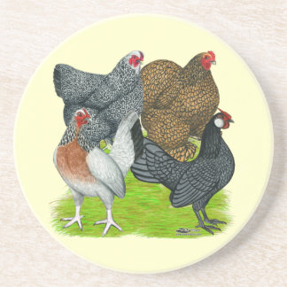 Bantam Hen Quartet Coaster