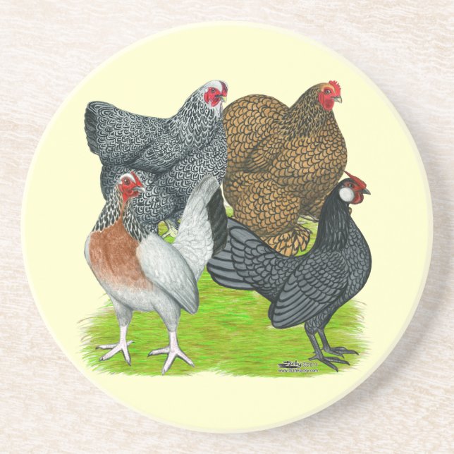 Bantam Hen Quartet Coaster (Front)