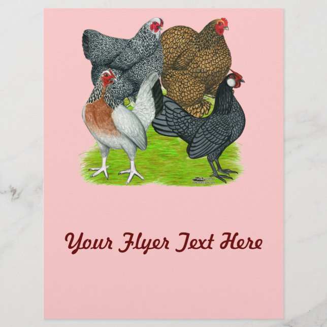 Bantam Hen Quartet Flyer (Front)