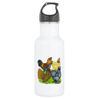 Bantam Quartet 532 Ml Water Bottle