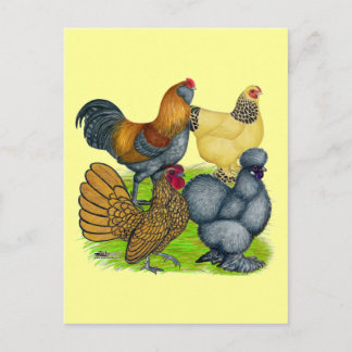 Bantam Quartet Postcard