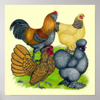 Bantam Quartet