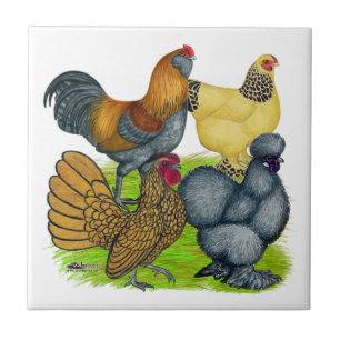 Bantam Quartet Tile