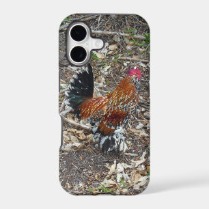 Bantam Rooster