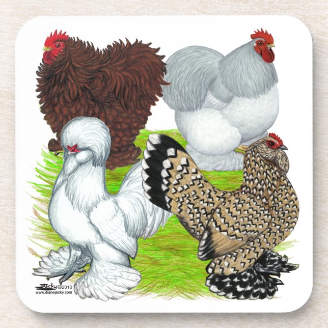 Bantams Feather Legged Coaster (Front)
