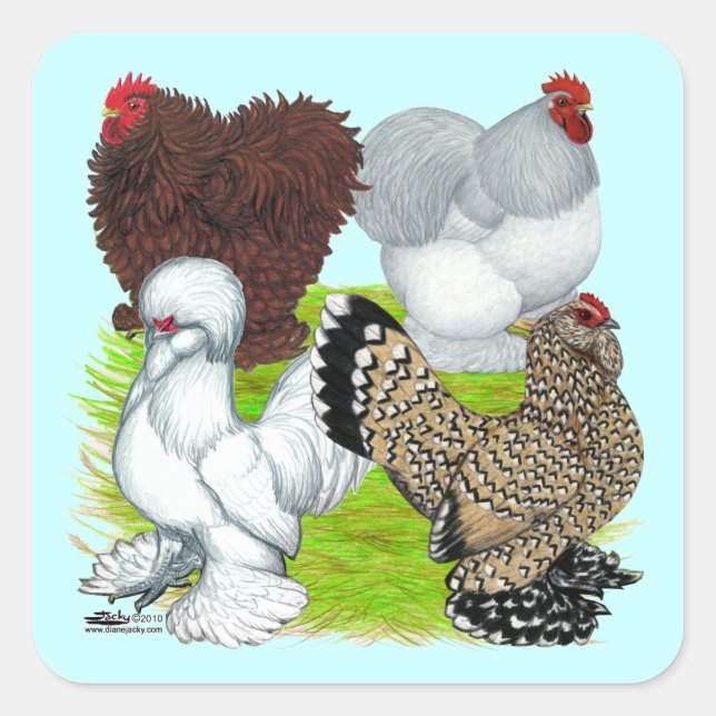 Bantams Feather Legged Square Sticker (Front)