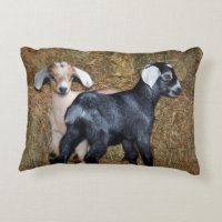 Bany Goats