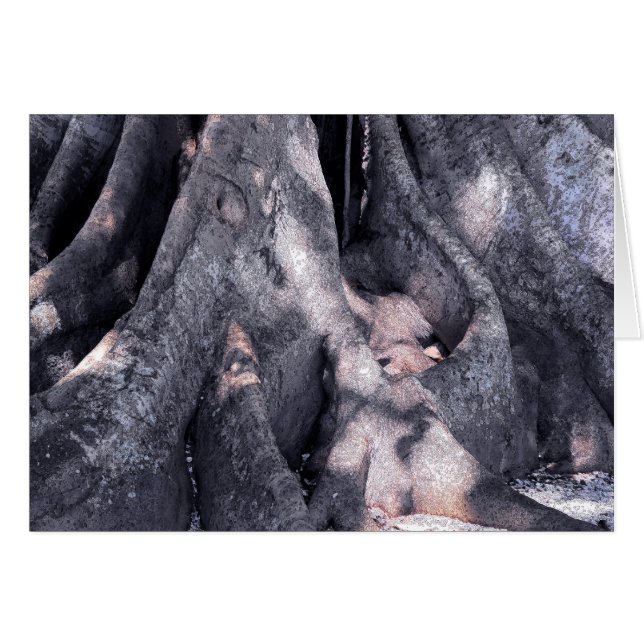 Banyan Tree (Front Horizontal)