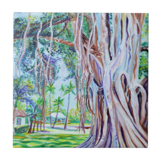 Banyan Tree at Waimea Plantation Cottages Tile