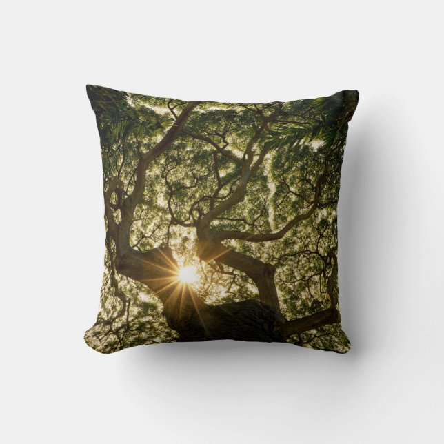 Banyan Tree Canopy Sunstar Cushion (Front)