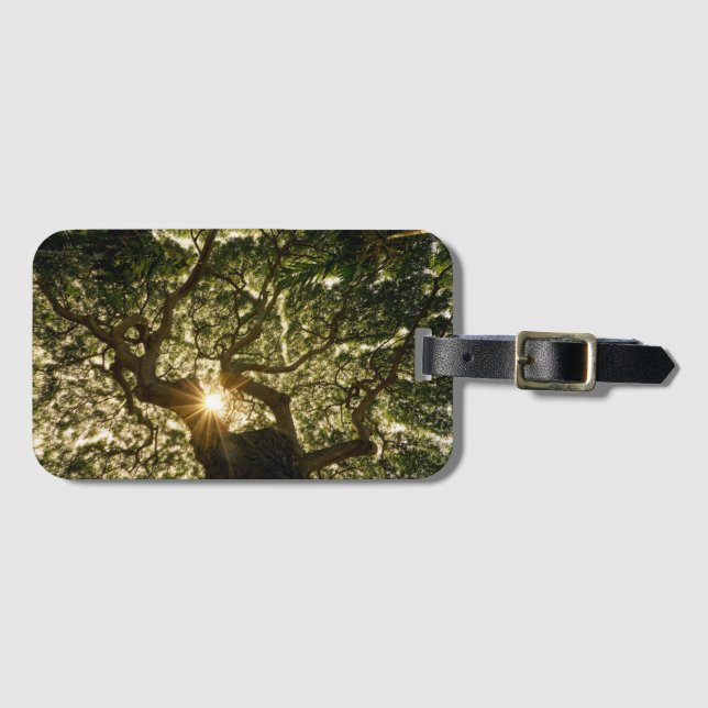 Banyan Tree Canopy Sunstar Luggage Tag (Front Horizontal)